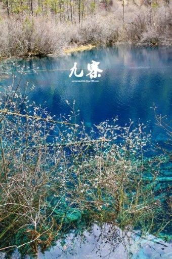 愤怒的小鸟